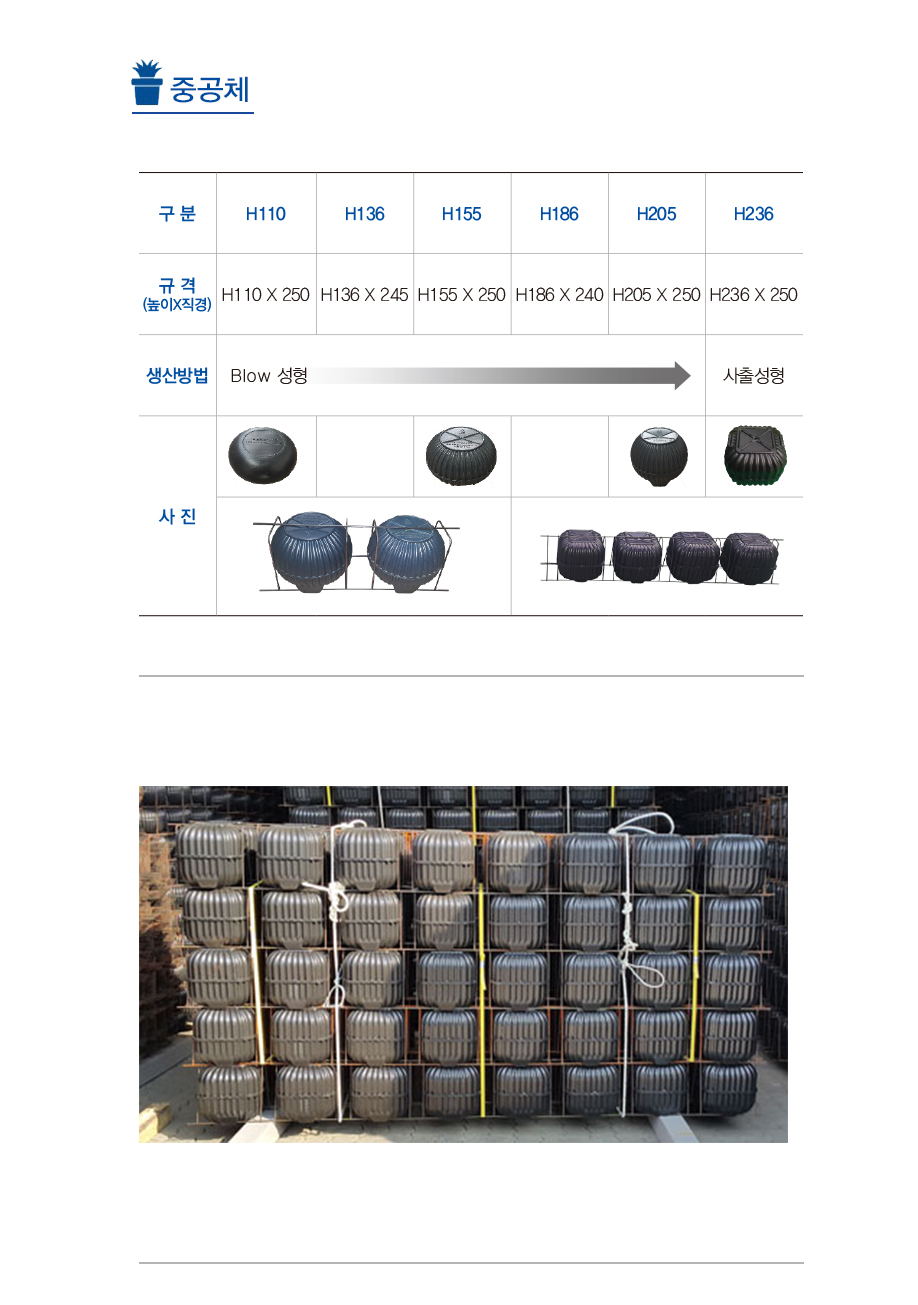 중공체.jpg